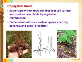 Free Powerpoint Templates
Page 40
 