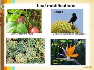 Free Powerpoint Templates
Page 58
 