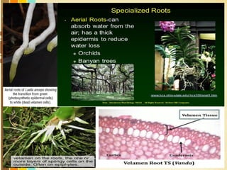 Free Powerpoint Templates
Page 9
 