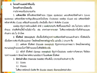 Free Powerpoint Templates
Page 90
 