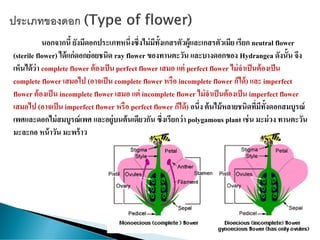 นอกจากนี้ ยังมีดอกประเภทหนึ่งซึ่งไม่มีทั้งเกสรตัวผู้และเกสรตัวเมีย เรียก neutral flower
(sterile flower) ได้แก่ดอกย่อยชนิด ray flower ของทานตะวัน และบางดอกของ Hydrangea ดังนั้น จึง
เห็นได้ว่า complete flower ต้องเป็น perfect flower เสมอ แต่ perfect flower ไม่จาเป็นต้องเป็น
complete flower เสมอไป (อาจเป็น complete flower หรือ incomplete flower ก็ได้) และ imperfect
flower ต้องเป็น incomplete flower เสมอ แต่ incomplete flower ไม่จาเป็นต้องเป็น imperfect flower
เสมอไป (อาจเป็น imperfect flower หรือ perfect flower ก็ได้) อนึ่ง ต้นไม้หลายชนิดที่มีทั้งดอกสมบูรณ์
เพศและดอกไม่สมบูรณ์เพศ และอยู่บนต้นเดียวกัน ซึ่งเรียกว่า polygamous plant เช่น มะม่วง ทานตะวัน
มะละกอ หน้าวัน มะพร้าว
 