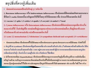  ช่อดอกจาแนกออกเป็นชนิดใหญ่ ๆ 2 ชนิด คือ
1. Racemose inflorescence หรือ Indeterminate inflorescence เป็นช่อดอกที่มีดอกย่อยเกิดตามแกนกลาง
ที่เรียกว่า rachis ช่อดอกนี้จะเจริญออกไปได้เรื่อยๆ ทาให้ช่อดอกยาวขึ้น จาแนกได้หลายชนิด ดังนี้
1.1 raceme 1.2 spike 1.3 catkin 1.4 spadix 1.5 corymb 1.6 umbel 1.7 head
2. Cymose inflorescence หรือ Determinate inflorescenceเป็นช่อดอกที่มีดอกย่อยจากจุดเดียวกันหรือ
คนละแห่งก็ได้ สิ่งสาคัญก็คือ ดอกย่อยที่อยู่บนสุดจะแก่และบานก่อนดอกย่อยอื่นๆ ที่อยู่ถัดมาข้างนอก
หรือถัดลงมาข้างล่างตามลาดับ แบ่งเป็นหลายชนิด ดังนี้
2.1 cyme 2.2 monochasium 2.3 dichasium 2.4 sympodium (helicoid and scorpioid) 2.5 verticillaster
 ช่อดอกแบบพิเศษ เป็นช่อดอกที่ไม่มีลักษณะเหมือนช่อแบบกระจุกและช่อแบบกระจะแต่มีลักษณะ ดังต่อไปนี้
1. ช่อรูปถ้วย (cyathium) เป็นช่อดอกที่ดูคล้ายดอกเดี่ยวประกอบด้วยใบประดับ 2 ใบลักษณะคล้ายถ้วยซ้อนกัน สีสัน
สวยงาม ในช่อประกอบด้วยดอกตัวเมีย 1 ดอก อยู่ตรงกลางและดอกตัวผู้จานวนหลายดอกล้อมรอบและลดรูปลง
เหลือแค่เกสรตัวผู้ 1 อันเท่านั้นรวมอยู่ในช่อ เช่น คริสต์มาส โป๊ ยเซียน
2. ช่อไฮแพนทอเดียม (hypanthodium) เป็นช่อดอกที่เกิดจากฐานรองอกเจริญหุ้มขึ้นเป็นรูปถ้วย อาจมีกลีบเลี้ยง
เจริญร่วมด้วย ภายในฐานรองดอกจะมีดอกย่อยเป็นชนิดที่ไม่มีกลีบดอกอยู่จานวนมาก ขนาดเล็กแยกเพศ ฐานรอง
ดอกจะหุ้มกลุ่มดอกย่อยไว้ไม่มิด ตรงปลายสุดจะเปิดรูทาให้แมลงเข้าไปช่วยผสมเกสร เช่น มะเดื่อ โพธิ์ ไทร กร่าง
 