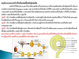 สรุปกระบวนการสร้างไข่หรือเซลล์สืบพันธุ์เพศเมีย
ภายในรังไข่มีออวุล (ovule) ซึ่งอาจมีออวุลเดียวหรือหลายออวุลภายในออวุลมีเซลล์ขนาดใหญ่เซลล์หนึ่ง เรียก เม
กะสปอร์ มาเทอร์เซลล์ (Megaspore mother cell) จะแบ่งตัวแบบไมโอซิส ทาให้ได้ 4 เมกะสปอร์ และมีโครโมโซมเป็น n ต่อมา
3 เมกะสปอร์ จะสลายไปเหลือเพียง 1 เมกะสปอร์ ซึ่งนิวเคลียสของเมกะสปอร์จะแบ่งตัวแบบไมโทซิส 3 ครั้งได้ 8 นิวเคลียส
แต่เป็น 7 เซลล์ ซึ่งเรียงตัวเป็น 3 กลุ่ม คือ
กลุ่มที่ 1 มี 3 นิวเคลียส จะมีเยื่อหุ้มแต่ละนิวเคลียสเป็น 3 เซลล์ อยู่ด้านเดียวกับบริเวณรูเล็กๆ ที่เรียกว่า ไมโครไพล์ (micropyl)
นิวเคลียสอันกลางเป็นไข่ (egg) และ 2 อันขนาบข้างไข่ เรียกว่า ซินเนอร์จิด (synergid)
กลุ่มที่ 2 มี 3 นิวเคลียส จะมีเยื่อหุ้มนิวเคลียสเป็น 3 เซลล์ และอยู่ด้านตรงข้ามกับไมโครไพล์ เรียก แอนติโพดัล เซลล์
(Antipodal cells)
กลุ่มที่ 3 มี 2 นิวเคลียสที่เหลืออยู่ตรงกลาง เรียกแต่ละนิวเคลียสนี้ว่า โพลาร์นิวเคลียส (polar nucleus) และนิวเคลียสทั้งสองมี
เยื่อหุ้มรวมกันจึงเป็น 1 เซลล์ แต่มี 2 นิวเคลียส
เมกะสปอร์ระยะที่ประกอบด้วย 7 เซลล์ 8 นิวเคลียส เรียกว่า ถุงเอมบริโอหรือแกมีโทไฟต์เพศเมีย ซึ่งจะมีเซลล์ที่เกี่ยวข้องกับ
การปฏิสนธิ คือ เซลล์ไข่ และเซลล์ที่มีโพลาร์นิวเคลียส 2 อัน
 
