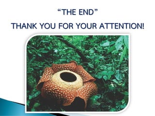 “THE END”
THANK YOU FOR YOUR ATTENTION!
 