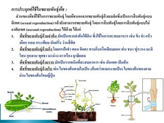 การประยุกต์ใช้ในขยายพันธุ์พืช :
ส่วนของพืชที่ใช้ในการขยายพันธุ์ โดยพืชนอกจากขยายพันธุ์ด้วยเมล็ดซึ่งเป็นการสืบพันธุ์แบบ
มีเพศ (sexual reproduction) แล้วยังสามารถขยายพันธุ์ โดยการสืบพันธุ์โดยการสืบพันธุ์แบบไม่
อาศัยเพศ (asexual reproduction) ได้ด้วย ได้แก่
1. พืชที่ขยายพันธุ์ด้วยลาต้น มักเป็นพวกลาต้นใต้ดิน ซึ่งใช้ในการสะสมอาหาร เช่น ขิง ข่า แห้ว
เผือก หอม กระเทียม มันฝรั่ง ว่านสี่ทิศ
2. พืชที่ขยายพันธุ์ด้วยกิ่ง โดยกรปักชา ตอน ติดตา ทาบกิ่งหรือเสียบยอด เช่น ชบา พู่ระหง มะลิ
โสน กุหลาบ พุทธา มะม่วง ดาวเรือง ฤาษีผสม
3. พืชที่ขยายพันธุ์ด้วยราก มักเป็นรากชนิดที่สะสมอาหาร เช่น มันเทศ เป็นต้น
4. พืชที่ขยายพันธุ์ด้วยใบ เช่น ใบของต้นตายใบเป็น (ต้นคว่าตายหงายเป็น) ใบของต้นทองสาม
ย่าน ใบของต้นโคมญี่ปุ่ น
 