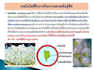  เมล็ดเทียม (artificial seed) เป็นการใช้เทคโนโลยีชีวภาพในการสร้างสิ่งที่มีลักษณะคล้ายเมล็ดเพื่อ
เลียนแบบเมล็ดพืชที่ได้จากการสืบพันธุ์แบบอาศัยเพศตามธรรมชาติ การทาเมล็ดเทียมอาศัยหลักการ
ห่อหุ้มส่วนต่างๆ ของพืชด้วยวัสดุที่เหมาะสม โดยอาจจะมีการเติมสารที่ทาหน้าที่เป็นเอนโดสเปิร์ม
เทียม (artificial endosperm) เช่น สารอาหาร สารควบคุมการเจริญเติบโต หรือเติมสารเคมีชนิดอื่นๆ
เช่น สารกาจัดศัตรูพืช สารกาจัดแมลง สารกาจัดเชื้อราหรือจุลินทรีย์ที่ช่วยสนับสนุนการเจริญของพืช
เข้าไปเป็นส่วนประกอบของเมล็ดเทียมอีกด้วย เมล็ดเทียมอาจมีชื่อเรียกเป็นภาษาอังกฤษอื่นๆ อีกเช่น
synthetic seed หรือ manufactured seed เป็นต้น วิธีนี้ใช้ขยายพันธุ์พืชบางชนิดได้
เช่น ข้าว หน่อไม้ฝรั่ง ยาสูบ แครอท
 
