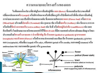 ในพืชดอกนั้นอวัยวะที่สาคัญในการสืบพันธุ์ก็คือ ดอก (flower) ซึ่งหมายถึงอวัยวะของพืชที่
เปลี่ยนแปลงมาจากใบ (carpel) หรือมีกาเนิดมาจากใบที่เปลี่ยนรูปร่างไปเพื่อทาหน้าที่เกี่ยวกับการสืบพันธุ์
การถ่ายละอองเกสร และเป็นที่กาเนิดผลและเมล็ด ซึ่งดอกอาจเกิดจากตาดอก (Flower bud) หรือตารวม
(Mixed bud) บริเวณที่ปลายกิ่ง (Terminal) เช่น กุหลาบ เข็ม หรือที่ซอกใบ (Axillary) เช่น ช้องนาง การเวก
หรือเกิดที่ข้อห่างจากซอกใบ (extra axillary bud) เช่น ชิงชี่ หรือติดอยู่กับลาต้น (cauliflowers) เช่นดอก
ตีนเป็ดฝรั่ง โดยลักษณะและชนิดของดอกทาให้ได้ผล (Fruit) ที่มีความแตกต่างกันทางลักษณะสัณฐานวิทยา
ประกอบด้วยโครงสร้างภายนอก 3 ส่วนที่สาคัญ คือ ก้านดอก (pedicel or peduncle) ฐานรองดอก
(receptacle) และตัวดอก (Flower) หรือถ้าหากจะจาแนกอย่างละเอียด คือ ก้านดอก (peduncle), ฐานรอง
ดอก (receptacle), กลีบเลี้ยง (sepal) หรือ calyx, กลีบดอก (petal) หรือ corolla, เกสรเพศผู้ (stamen) หรือ
androecium และ เกสรเพศเมีย (pistil) หรือ gynoecium
 