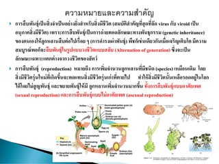  การสืบพันธุ์เป็นสิ่งจาเป็นอย่างยิ่งสาหรับสิ่งมีชีวิต (สมบัติสาคัญที่สุดที่จัด virus กับ viroid เป็น
อนุภาคสิ่งมีชีวิต) เพราะการสืบพันธุ์เป็นการถ่ายทอดลักษณะทางพันธุกรรม (genetic inheritance)
ของตนเองให้ลูกหลานสืบต่อไปเรื่อย ๆ (การดารงเผ่าพันธุ์) พืชก็เช่นเดียวกันเมื่อเจริญเติบโต มีความ
สมบูรณ์พอก็จะสืบพันธุ์ในรูปแบบวงชีวิตแบบสลับ (Alternation of generation)ซึ่งจะเป็น
ลักษณะเฉพาะแตกต่างจากวงชีวิตของสัตว์
 การสืบพันธุ์ (reproduction) หมายถึง การเพิ่มจานวนลูกหลานที่มีชนิด (species) เหมือนเดิม โดย
สิ่งมีชีวิตรุ่นใหม่ที่เกิดขึ้นจะทดแทนสิ่งมีชีวิตรุ่นเก่าที่ตายไป ทาให้สิ่งมีชีวิตนั้นเหลือรอดอยู่ในโลก
ได้โดยไม่สูญพันธุ์ และขยายพันธุ์ให้มี ลูกหลานเพิ่มจานวนมากขึ้น ทั้งการสืบพันธุ์แบบอาศัยเพศ
(sexual reproduction) และการสืบพันธุ์แบบไม่อาศัยเพศ (asexual reproduction)
 