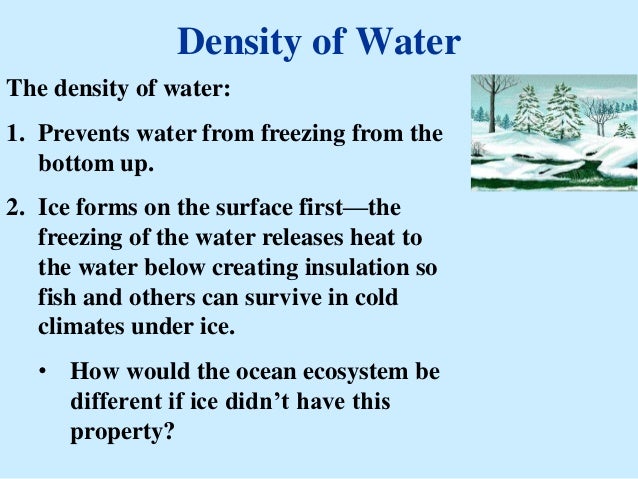 Properties Of Water Worksheet