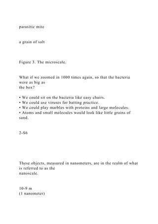 parasitic mite
a grain of salt
Figure 3. The microscale.
What if we zoomed in 1000 times again, so that the bacteria
were as big as
the box?
• We could sit on the bacteria like easy chairs.
• We could use viruses for batting practice.
• We could play marbles with proteins and large molecules.
• Atoms and small molecules would look like little grains of
sand.
2-S6
These objects, measured in nanometers, are in the realm of what
is referred to as the
nanoscale.
10-9 m
(1 nanometer)
 