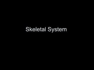 Skeletal System  