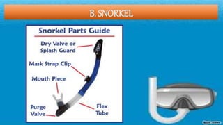 B. SNORKEL
 