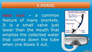 B. SNORKEL
PURGE VALVE – a common
feature of many snorkels.
It is a small valve just
lower than the mouth that
empties the collected water
that comes down the tube
when one blows it out.
 