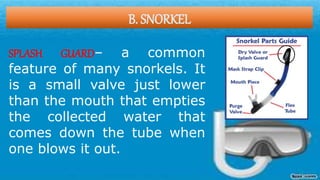 B. SNORKEL
SPLASH GUARD– a common
feature of many snorkels. It
is a small valve just lower
than the mouth that empties
the collected water that
comes down the tube when
one blows it out.
 