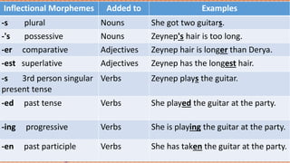 Inflectional Morphemes Added to Examples
-s plural Nouns She got two guitars.
-'s possessive Nouns Zeynep's hair is too long.
-er comparative Adjectives Zeynep hair is longer than Derya.
-est superlative Adjectives Zeynep has the longest hair.
-s 3rd person singular
present tense
Verbs Zeynep plays the guitar.
-ed past tense Verbs She played the guitar at the party.
-ing progressive Verbs She is playing the guitar at the party.
-en past participle Verbs She has taken the guitar at the party.
 