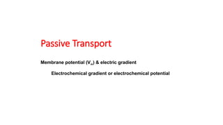 Passive Transport
Membrane potential (Vm) & electric gradient
Electrochemical gradient or electrochemical potential
 