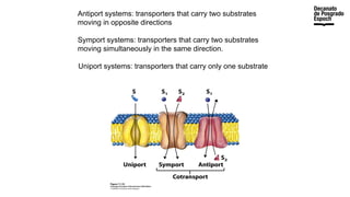 Antiport systems: transporters that carry two substrates
moving in opposite directions
Symport systems: transporters that carry two substrates
moving simultaneously in the same direction.
Uniport systems: transporters that carry only one substrate
 