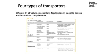 Four types of transporters
Different in structure, mechanism, localization in specific tissues
and intracelluar compartments
 