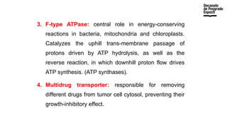 3. F-type ATPase: central role in energy-conserving
reactions in bacteria, mitochondria and chloroplasts.
Catalyzes the uphill trans-membrane passage of
protons driven by ATP hydrolysis, as well as the
reverse reaction, in which downhill proton flow drives
ATP synthesis. (ATP synthases).
4. Multidrug transporter: responsible for removing
different drugs from tumor cell cytosol, preventing their
growth-inhibitory effect.
 