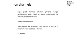 Ion channels
Ligand-gated channels: allosteric proteins change
conformation when bind to some extracellular or
intracellular small molecules
Acetylcholine receptor
Voltage-gated ion channels: response to a change in
transmembrane electrical potential
K+
channel
 