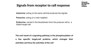 Signals from receptor to cell response
Autocrine: acting on the same cell that produces the signals
Paracrine: acting on a near neighbor
Endocrine: carried in the bloodstream from the producer cell to a
distant target cell.
The end result of a signaling pathway is the phosphorylation of
a few specific target-cell proteins, which changes their
activities and thus the activities of the cell
 