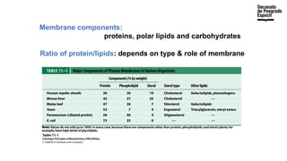 Membrane components:
proteins, polar lipids and carbohydrates
Ratio of protein/lipids: depends on type & role of membrane
 