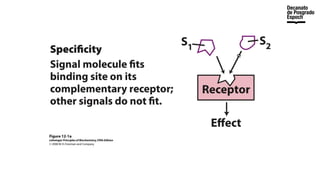 Lesson 2_Transport Process on membrane.pptx