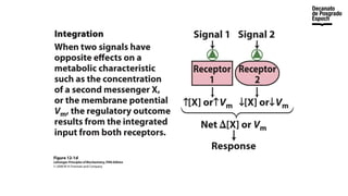 Lesson 2_Transport Process on membrane.pptx
