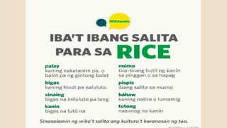 Lesson 2 understanding language and  multilingualism