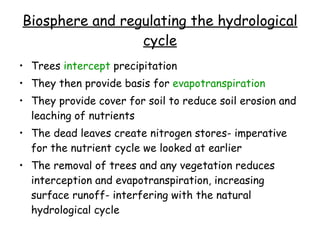 Biosphere and regulating the hydrological cycle <ul><li>Trees  intercept  precipitation </li></ul><ul><li>They then provid...