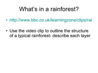 What’s in a rainforest? <ul><li>http://www.bbc.co.uk/learningzone/clips/rainforest-layering/3092.html   </li></ul><ul><li>...