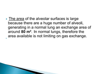  The area of the alveolar surfaces is large
because there are a huge number of alveoli,
generating in a normal lung an exchange area of
around 80 m². In normal lungs, therefore the
area available is not limiting on gas exchange.
 