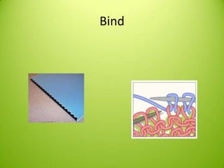 Bind