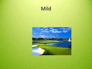 Mild