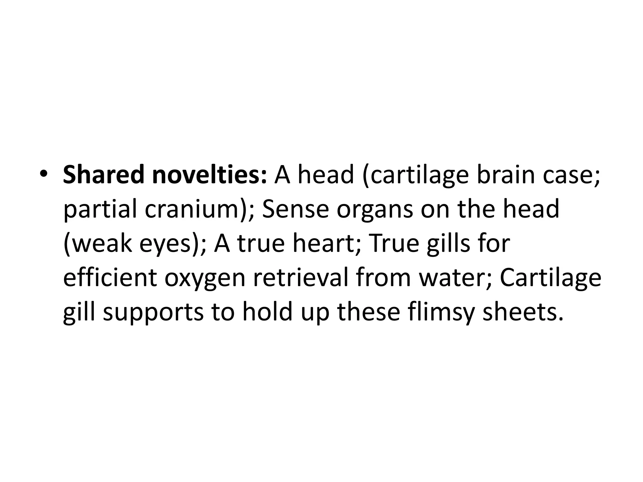 •Shared novelties: A head (cartilage brain case; partial cranium); Sense organs on the head (weak eyes); A true heart; True gills for efficient oxygen retrieval from water; Cartilage gill supports to hold up these flimsy sheets.  
