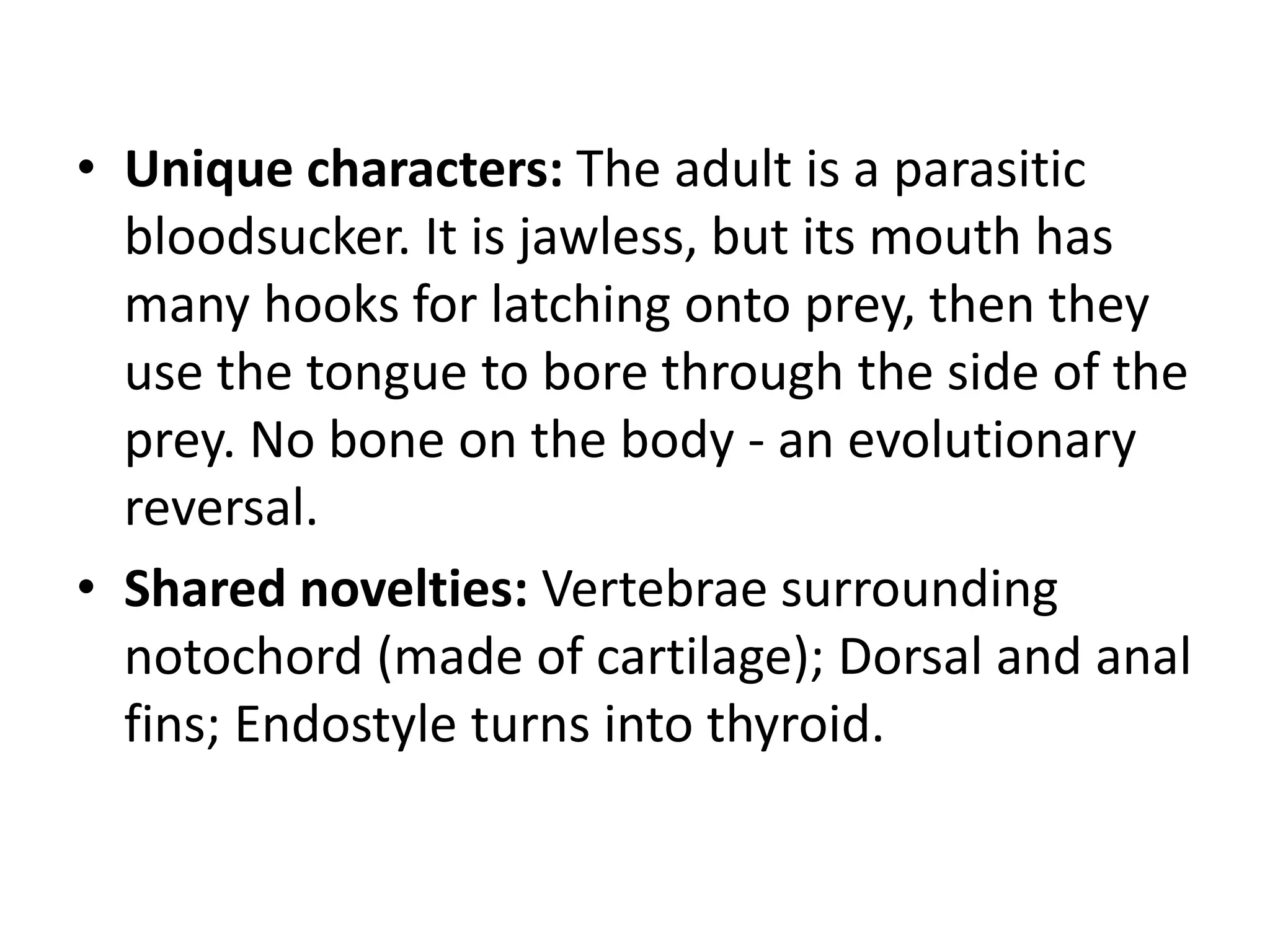 •Unique characters: The adult is a parasitic bloodsucker. It is jawless, but its mouth has many hooks for latching onto prey, then they use the tongue to bore through the side of the prey. No bone on the body - an evolutionary reversal. 
•Shared novelties: Vertebrae surrounding notochord (made of cartilage); Dorsal and anal fins; Endostyle turns into thyroid.  