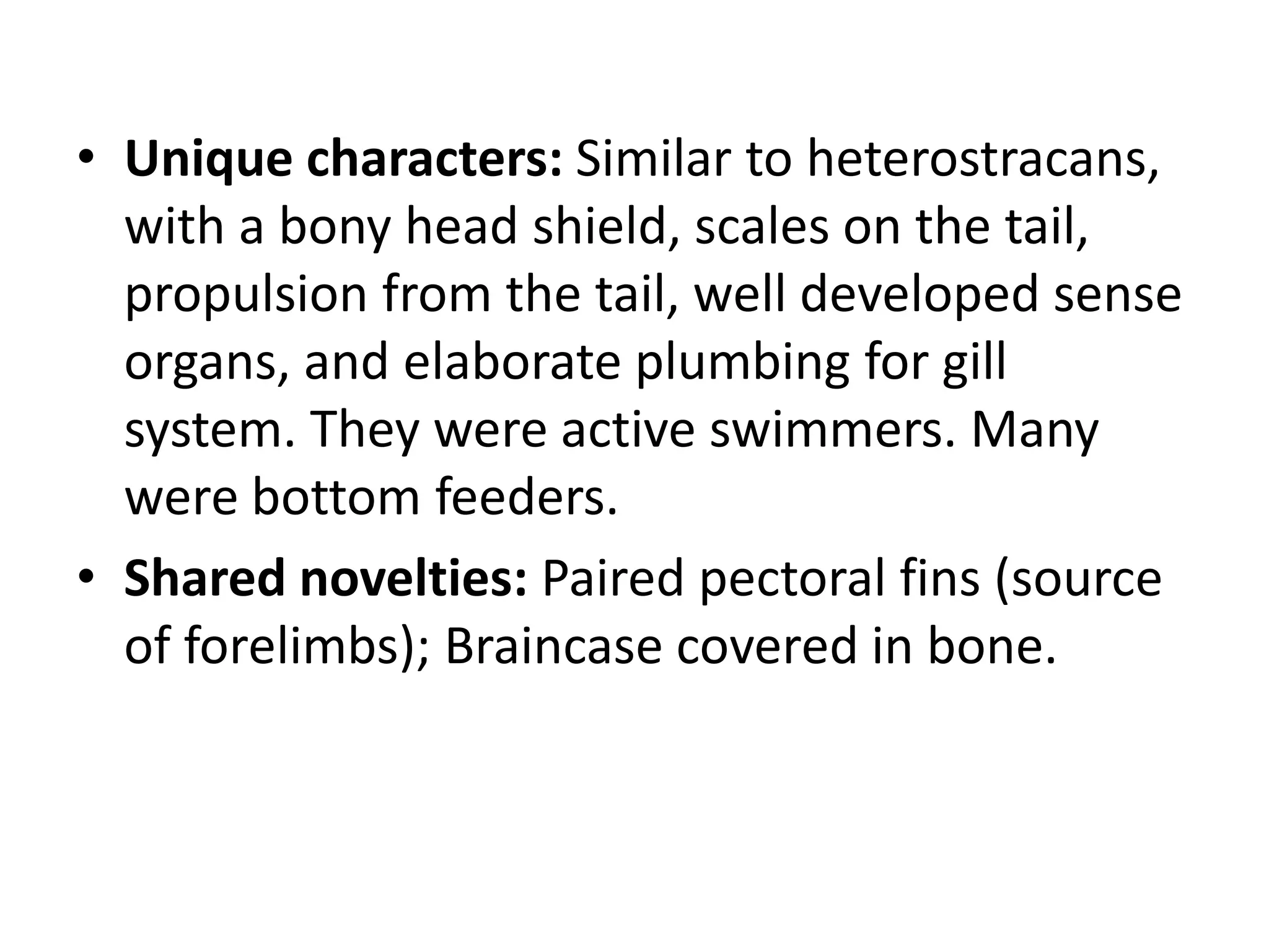 •Unique characters: Similar to heterostracans, with a bony head shield, scales on the tail, propulsion from the tail, well developed sense organs, and elaborate plumbing for gill system. They were active swimmers. Many were bottom feeders. 
•Shared novelties: Paired pectoral fins (source of forelimbs); Braincase covered in bone.  