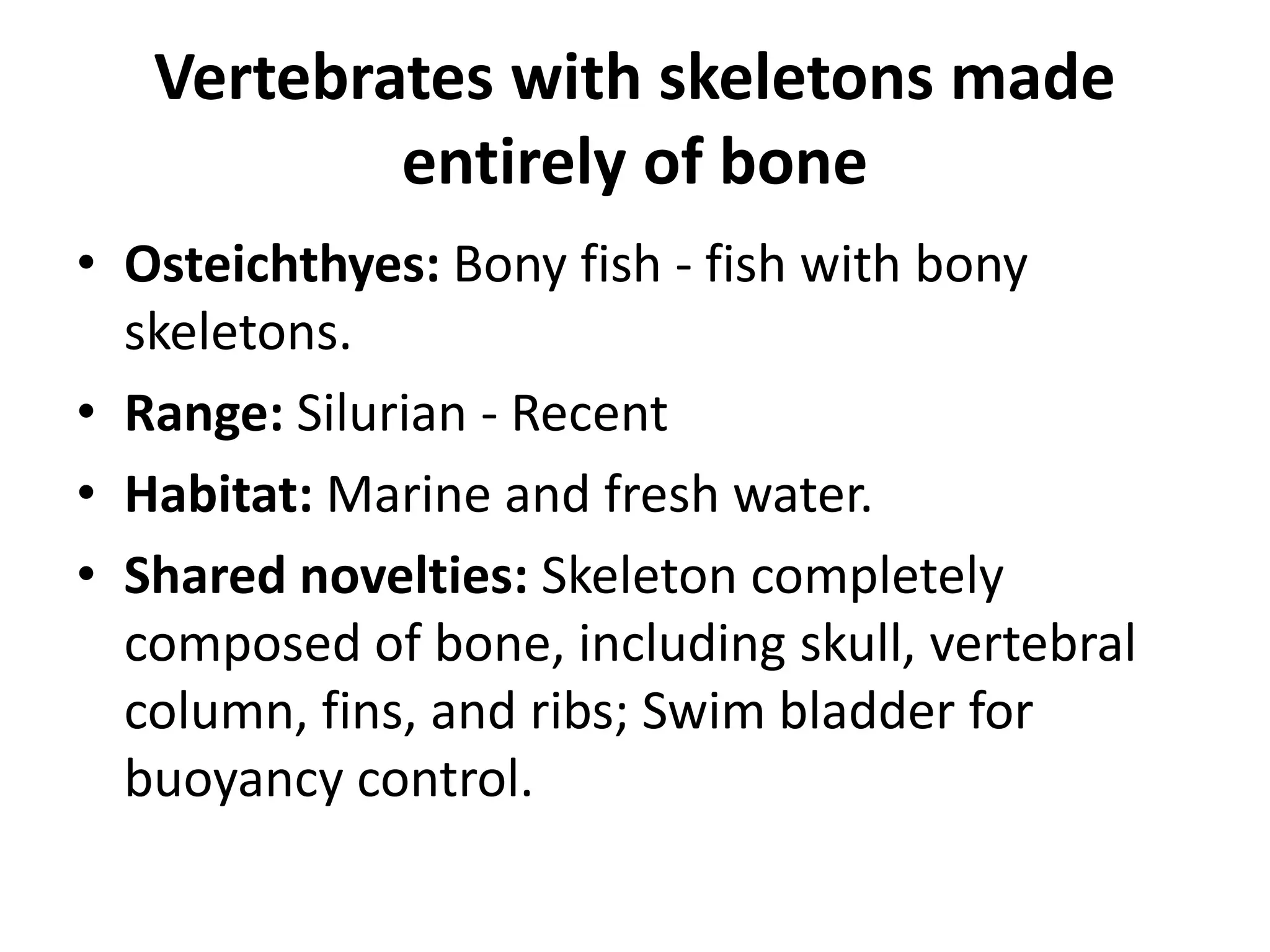 Vertebrates with skeletons made entirely of bone 
•Osteichthyes: Bony fish - fish with bony skeletons. 
•Range: Silurian - Recent 
•Habitat: Marine and fresh water. 
•Shared novelties: Skeleton completely composed of bone, including skull, vertebral column, fins, and ribs; Swim bladder for buoyancy control.  