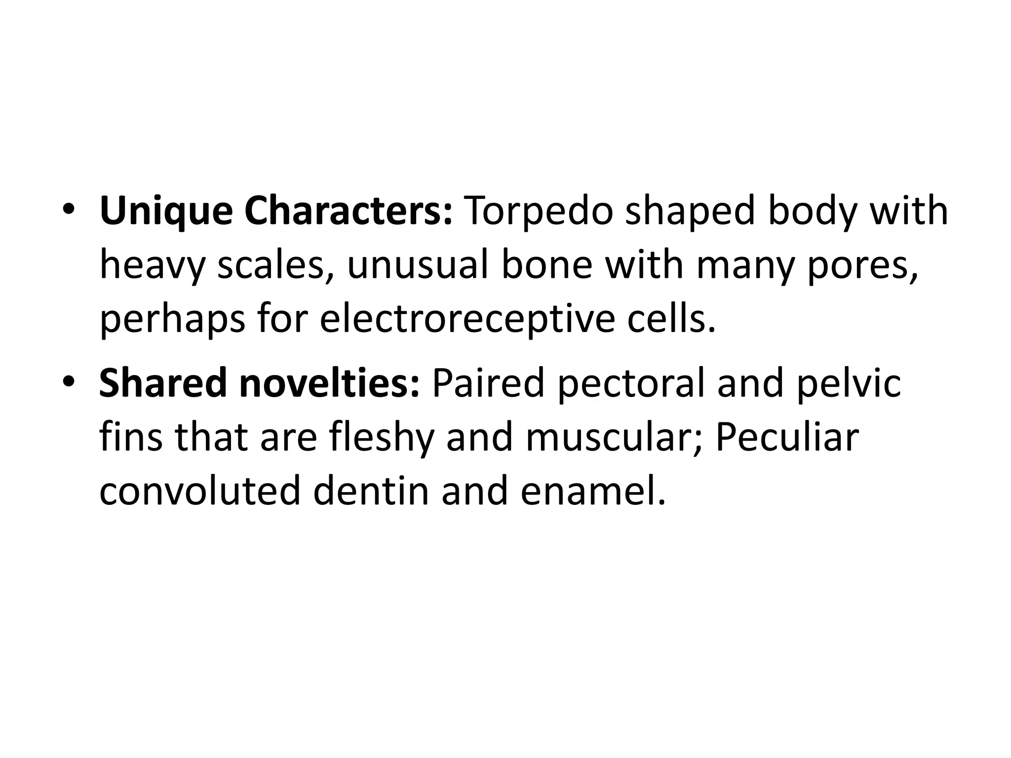 •Unique Characters: Torpedo shaped body with heavy scales, unusual bone with many pores, perhaps for electroreceptive cells. 
•Shared novelties: Paired pectoral and pelvic fins that are fleshy and muscular; Peculiar convoluted dentin and enamel.  