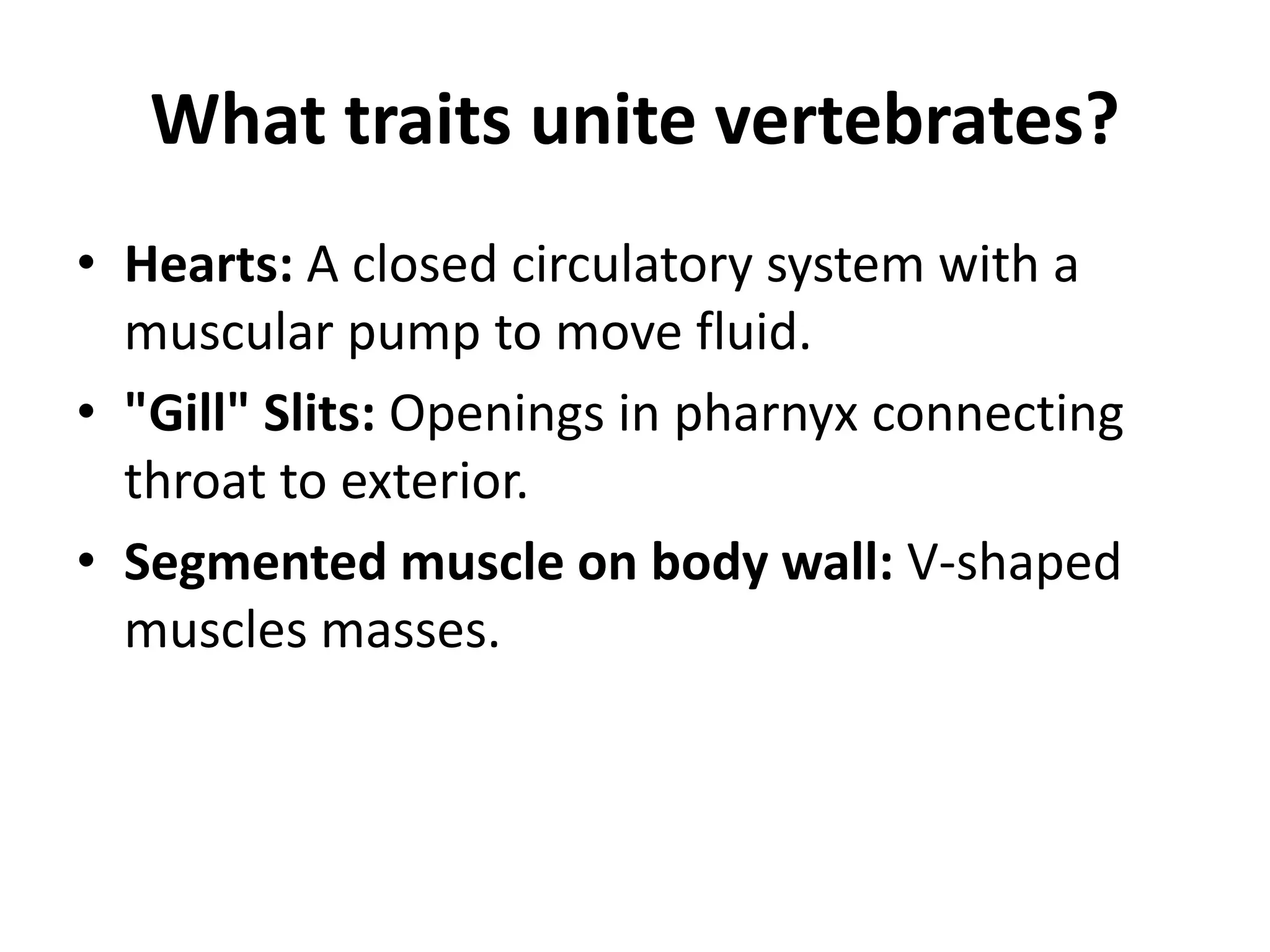 What traits unite vertebrates? 
•Hearts: A closed circulatory system with a muscular pump to move fluid. 
•"Gill" Slits: Openings in pharnyx connecting throat to exterior. 
•Segmented muscle on body wall: V-shaped muscles masses. 
 