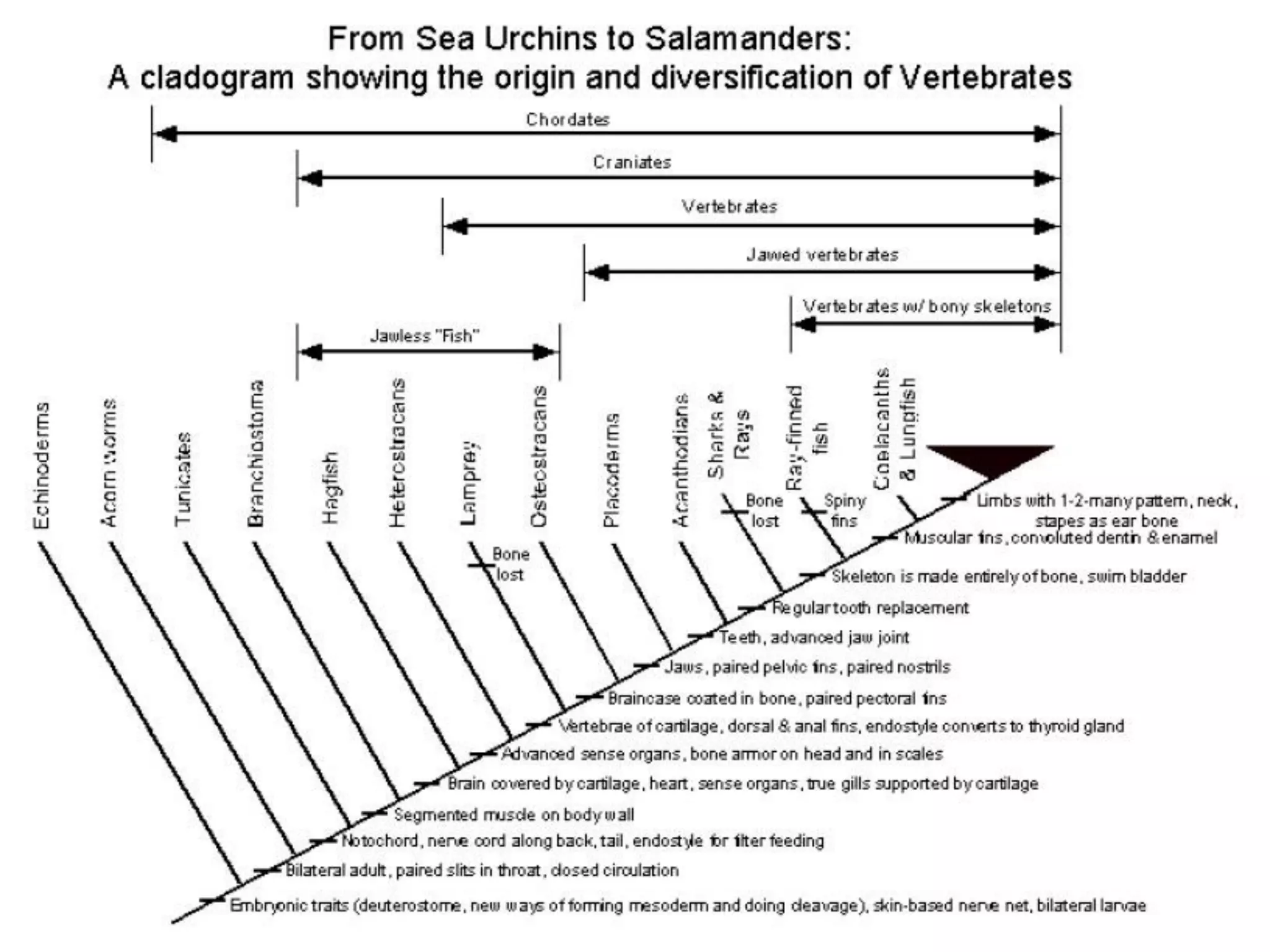 Where did all this stuff come from?  