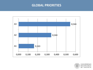GLOBAL PRIORITIES
0,163
0,344
0,544
0,000 0,100 0,200 0,300 0,400 0,500 0,600
A1
A2
A3
 