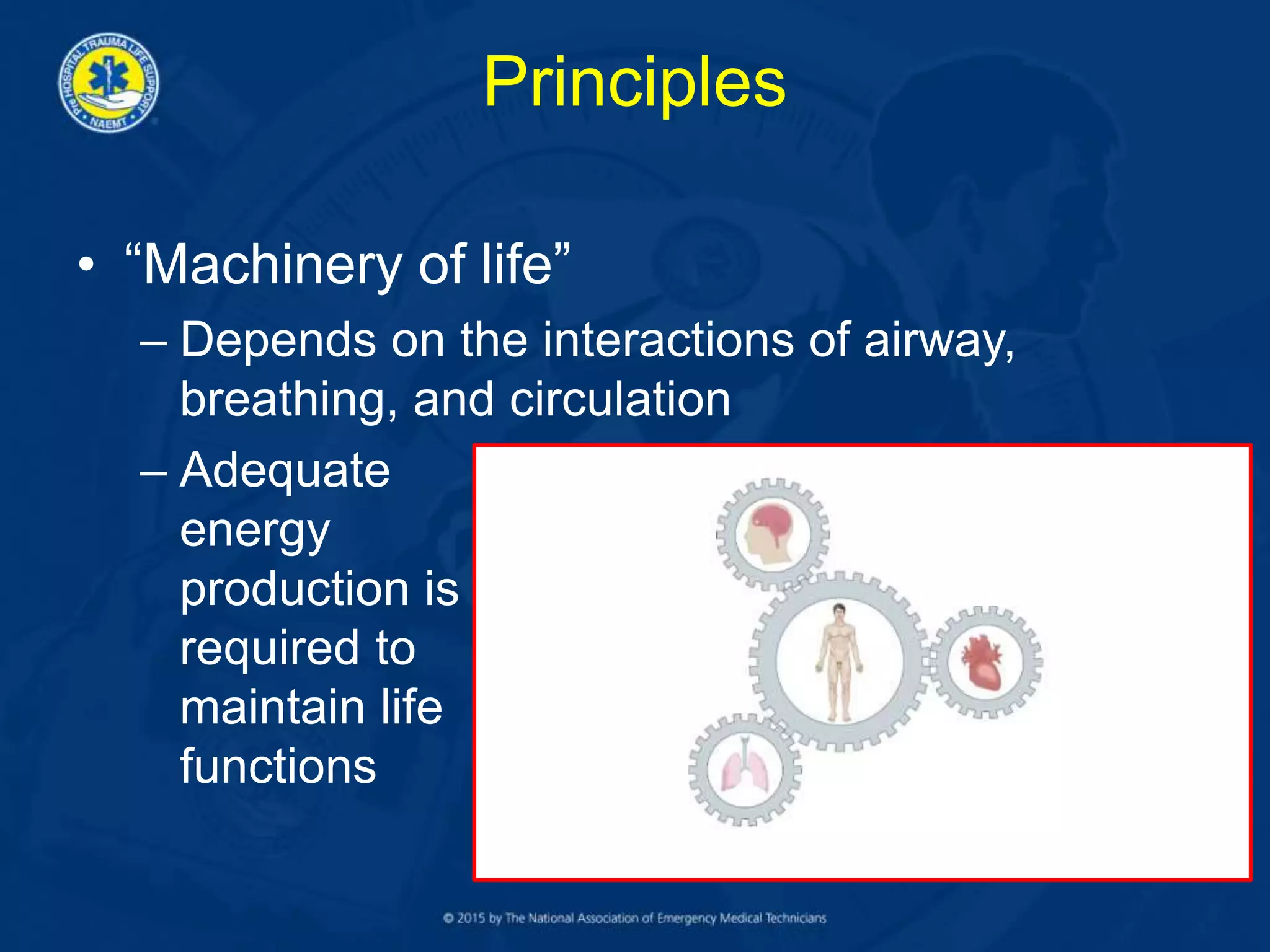 Principles
• “Machinery of life”
– Depends on the interactions of airway,
breathing, and circulation
– Adequate
energy
production is
required to
maintain life
functions
 