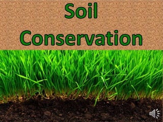WHAT IS SOIL CONSERVATION SHORT ANSWER CLASS 5 visual data 8