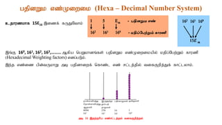 gjpdWk vz;Kiwik (Hexa – Decimal Number System)
cjhuzkhf 15E16 ,izf; fUJNthk;
,q;F 160, 161, 162, 163,……… Mfpa ngWkhdq;fs; gjpdWk vz;Kiwikapy; kjpg;Ngw;Wk; fhuzp
(Hexadecimal Weighting factors) vdg;gLk;.
,e;j vz;iz gpd;tUkhW mb gjpdhiwf; nfhz;l vz; rl;lj;jpy; tifFwpj;Jf; fhl;lyhk;.
mb 16 ,jw;Fhpa vz;rl;lj;jy; tifFwpj;jy;
 