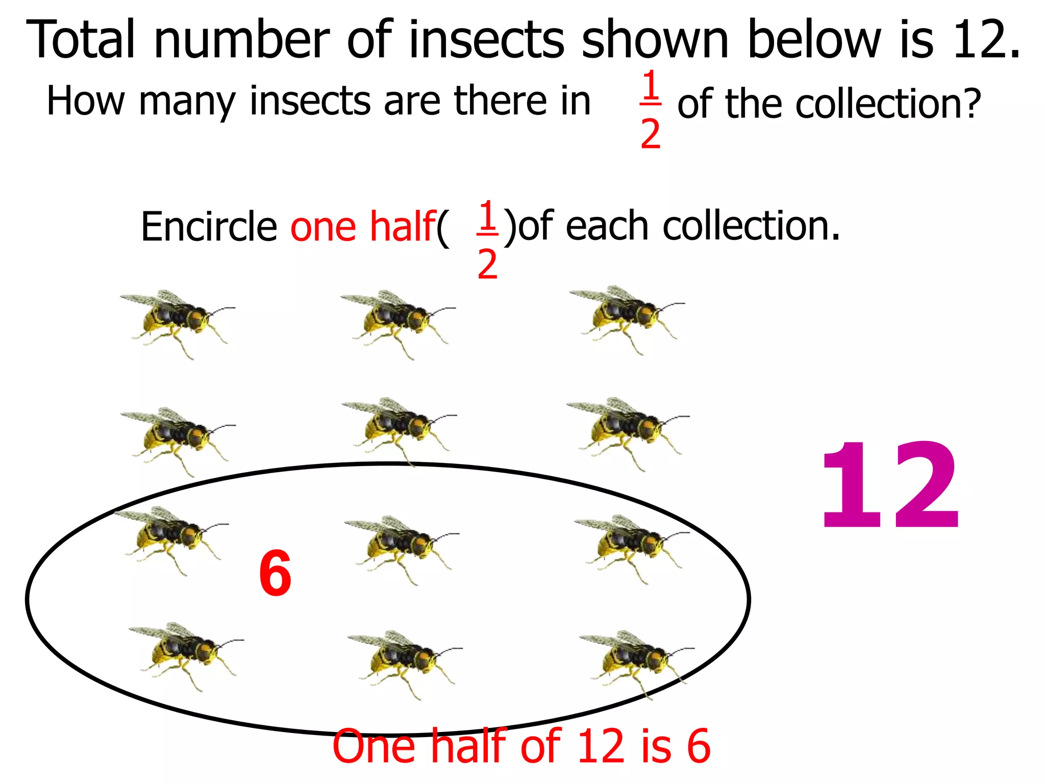 Encircle one half(
6
One half of 12 is 6
Total number of insects shown below is 12.
How many insects are there in 1
2
of the collection?
1
2
)of each collection.
12
 
