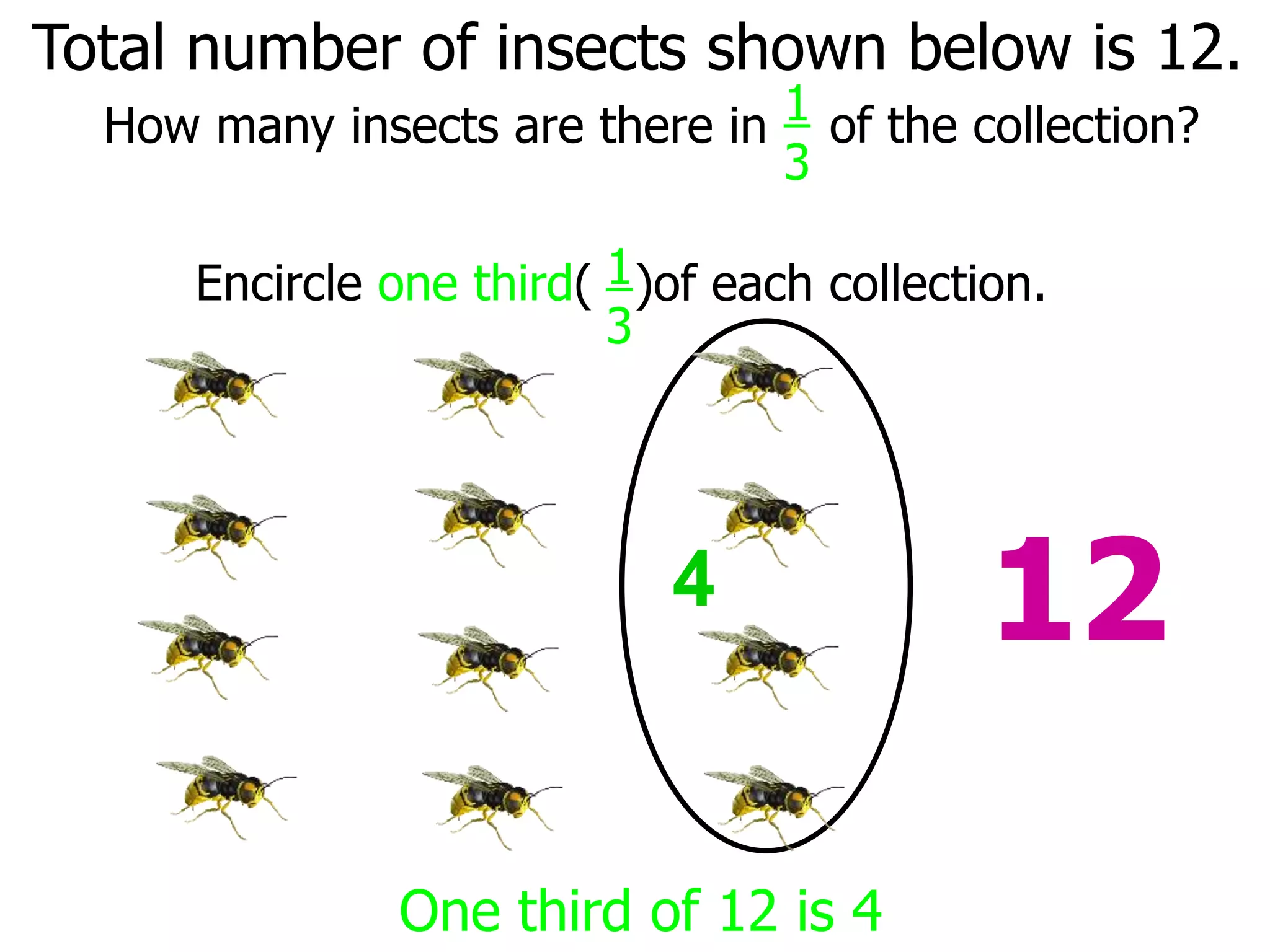 4
One third of 12 is 4
Total number of insects shown below is 12.
How many insects are there in 1
3
of the collection?
Encircle one third( 1
3
)of each collection.
12
 