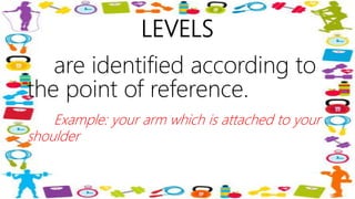 LEVELS
are identified according to
the point of reference.
Example: your arm which is attached to your
shoulder
 