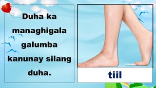 Duha ka
managhigala
galumba
kanunay silang
duha. tiil
 