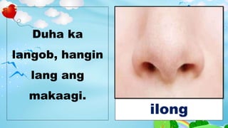 Duha ka
langob, hangin
lang ang
makaagi.
ilong
 